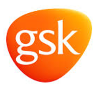 Logo Item